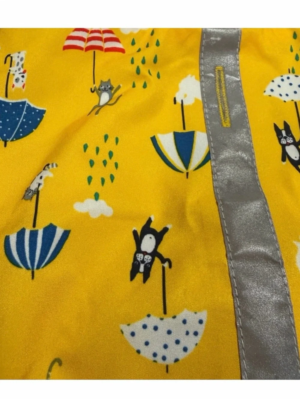 Doggie Pjs and Raincoat (2 pieces)